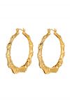 Bamboo Shape C-Shape Earrings