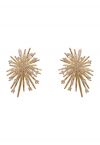 Fireworks Zircon Earrings