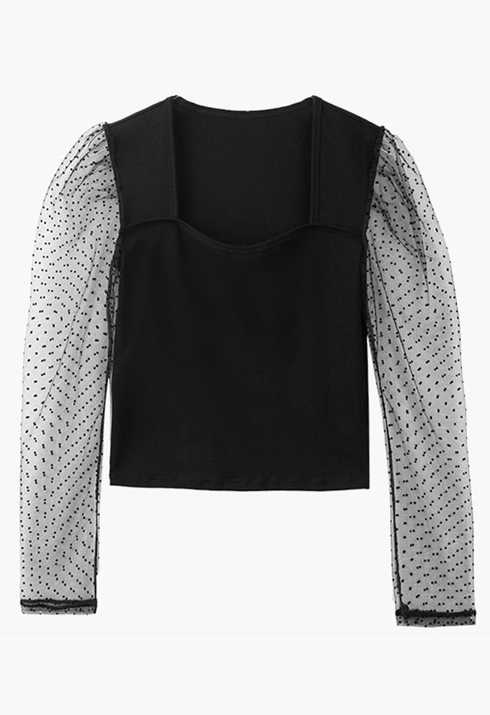 Dotted Mesh Long Sleeves Fitted Top in Black