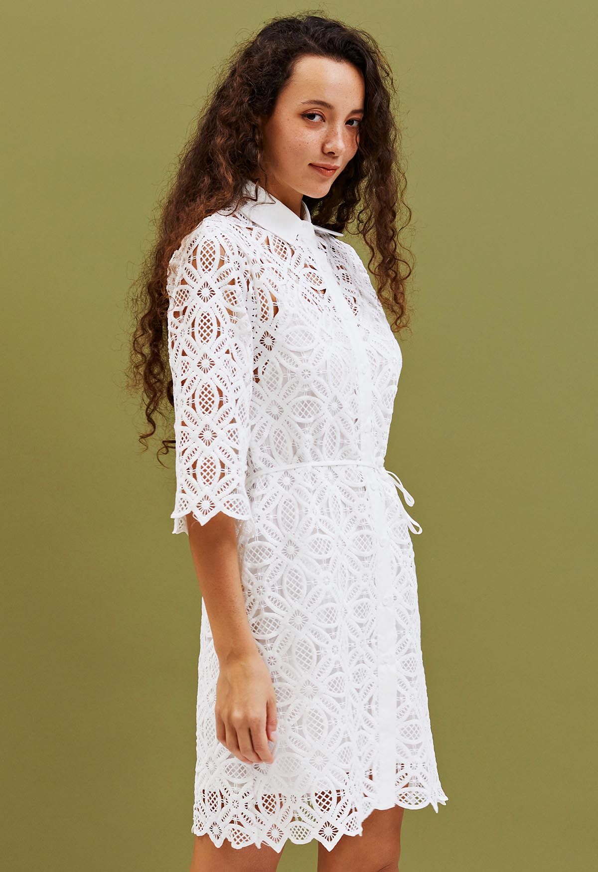 Delicate Cutwork Lace Button Down Dress in White