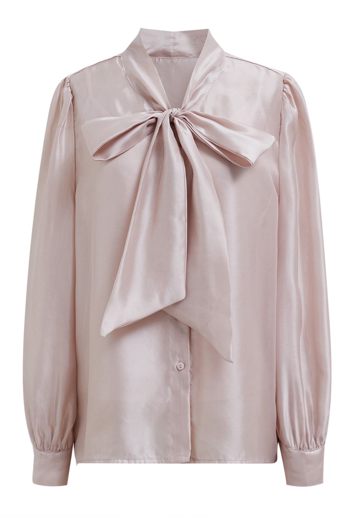 Elegant Bowknot Puff Sleeves Sheer Shirt in Blush