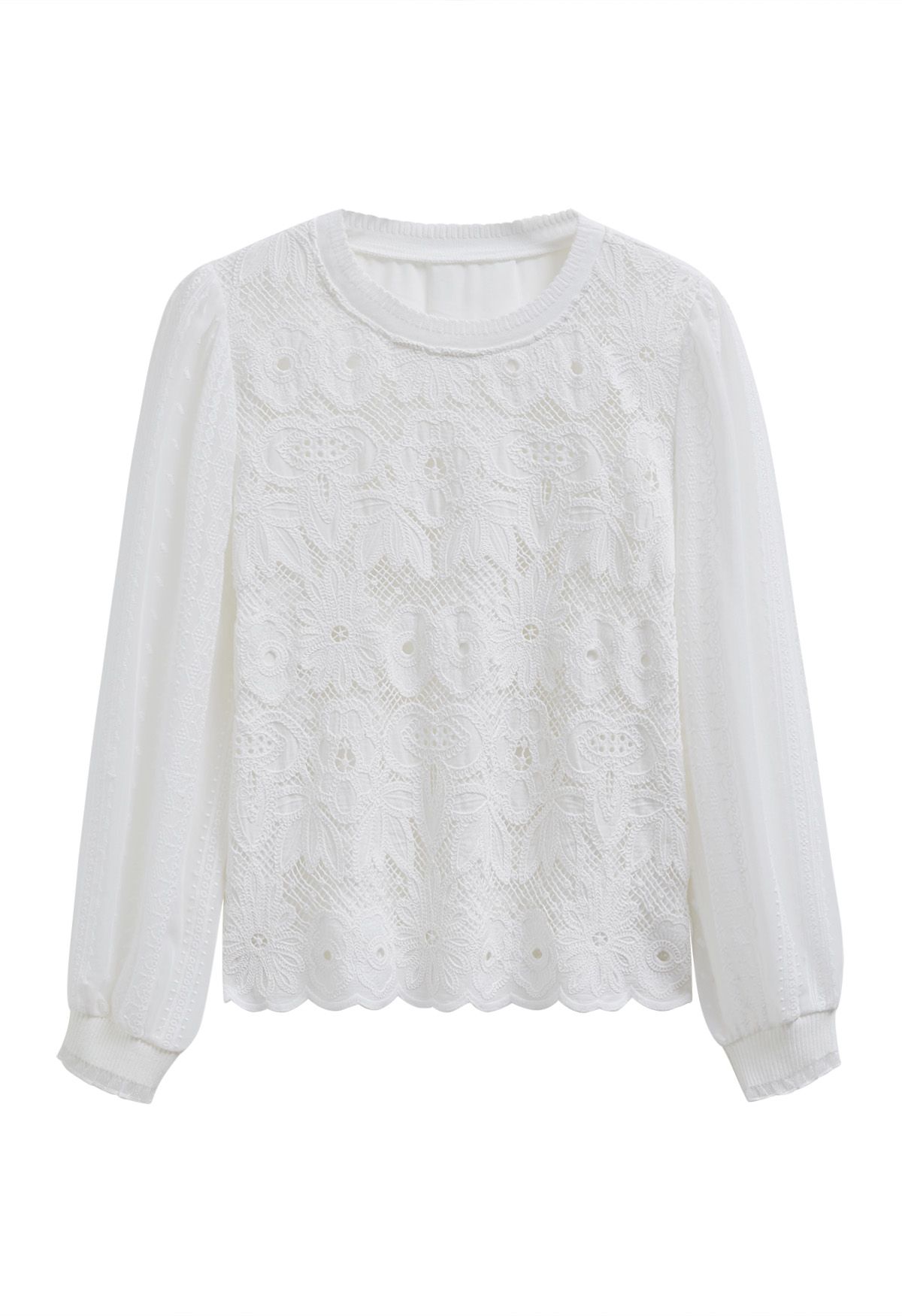 Floral Lace Embroidered Sheer Sleeve Top in White