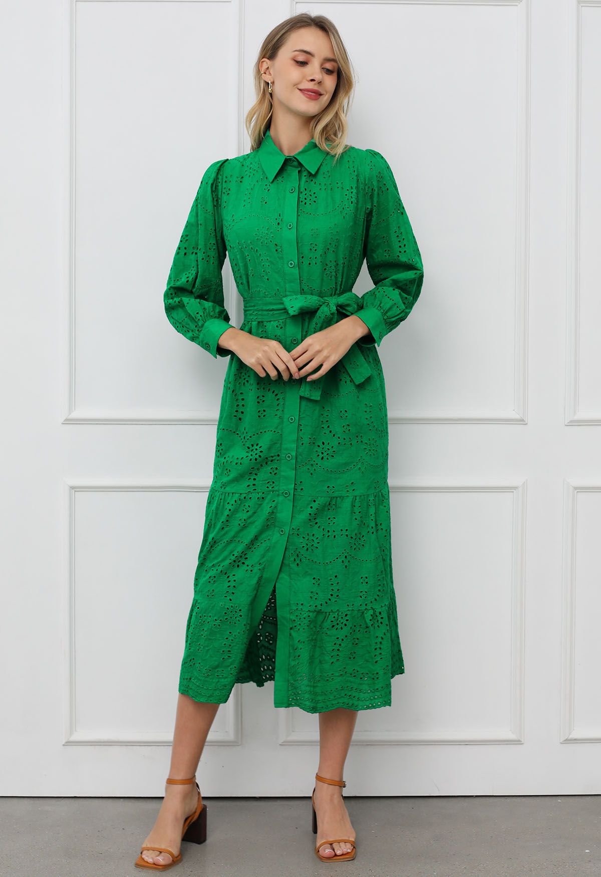 Delicate Eyelet Embroidery Tie-Waist Buttoned Midi Dress in Green