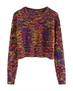 Multi-Color Pointelle Knit Cropped Top